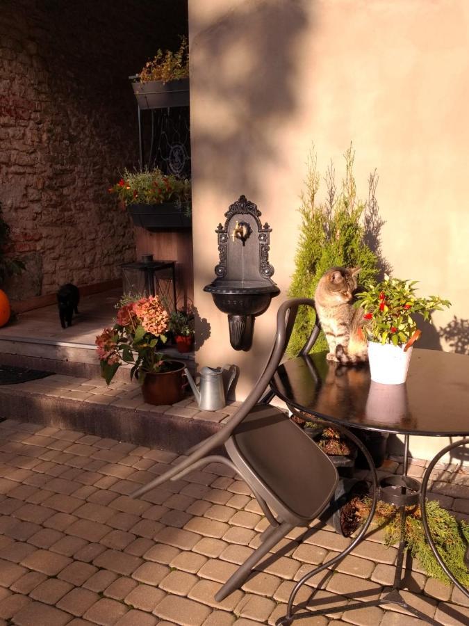 Babie Lato B&B Uniejow Ngoại thất bức ảnh